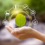 8 maisons écologiques et alternatives