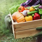 Comment organiser son potager ?